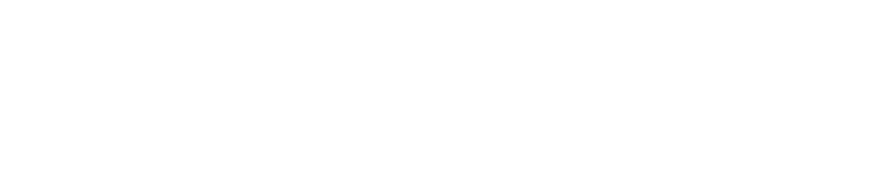 Digiflow logo
