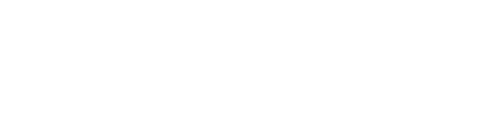 Duell logo